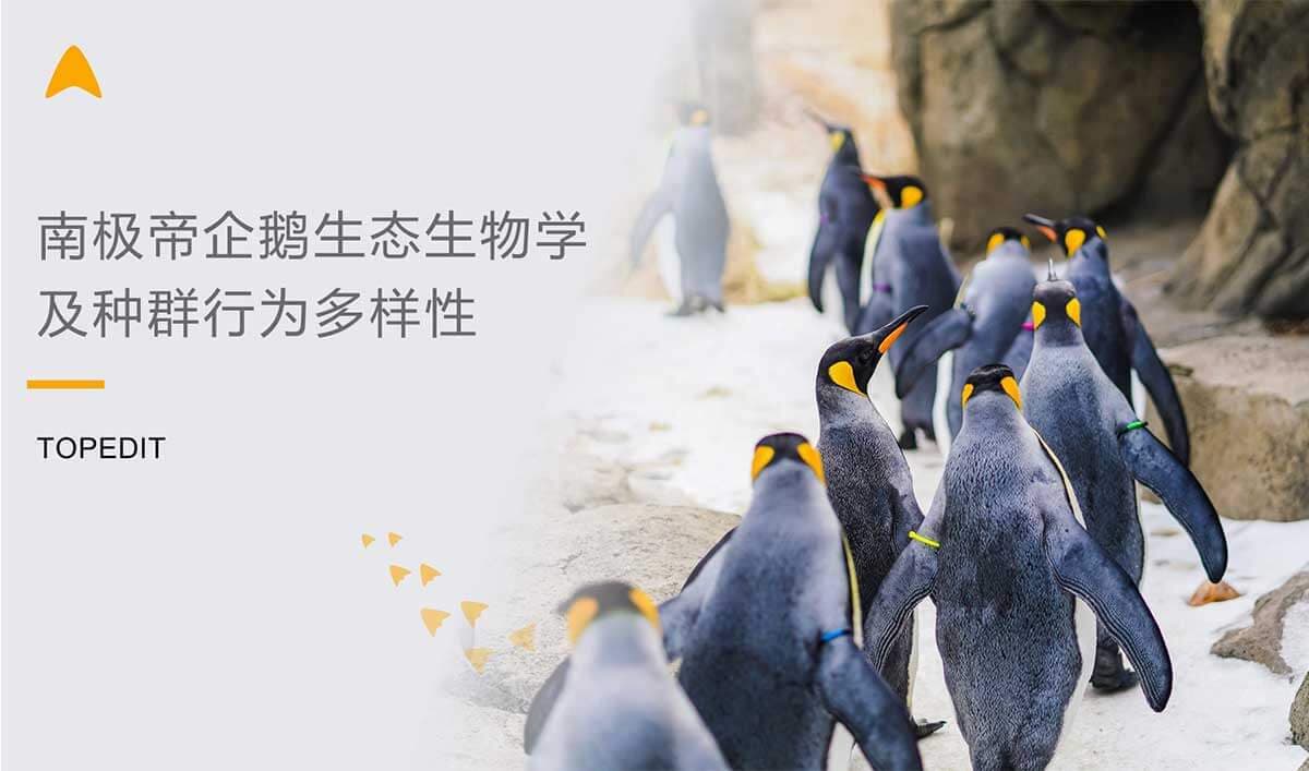会议海报配图